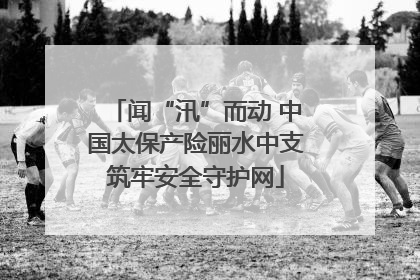 闻“汛”而动 中国太保产险丽水中支筑牢安全守护网