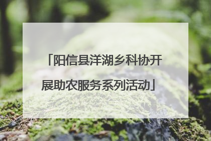 阳信县洋湖乡科协开展助农服务系列活动