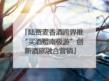 陆贾麦香酒跨界推“买酒赠南极游”创新酒旅融合营销
