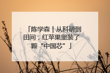 陈学森｜从科研到田间，红苹果里装了颗“中国芯”