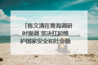 陈文清在青海调研时强调 坚决扛起维护国家安全和社会稳定职责使命 为谱写中国式现代化青海篇章贡献政法力量