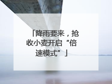 降雨要来，抢收小麦开启“倍速模式”