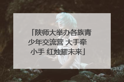 陕师大举办各族青少年交流营 大手牵小手 红烛耀未来