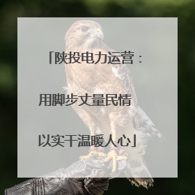 陕投电力运营：用脚步丈量民情 以实干温暖人心