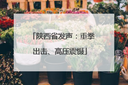 陕西省发声：重拳出击、高压震慑