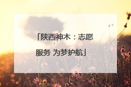 陕西神木：志愿服务 为梦护航