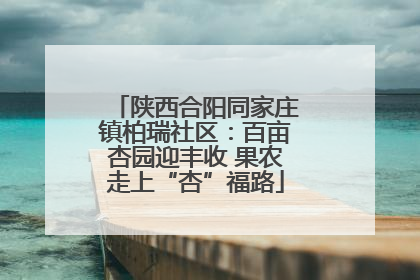陕西合阳同家庄镇柏瑞社区：百亩杏园迎丰收 果农走上“杏”福路