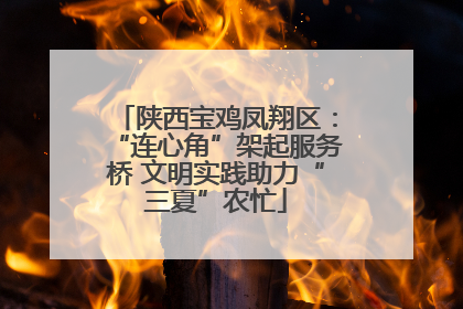 陕西宝鸡凤翔区：“连心角”架起服务桥 文明实践助力“三夏”农忙