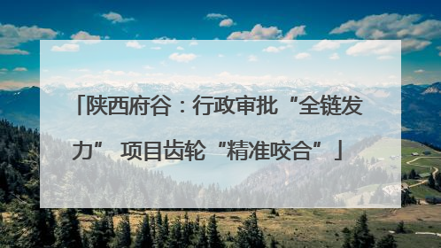 陕西府谷：行政审批“全链发力” 项目齿轮“精准咬合”