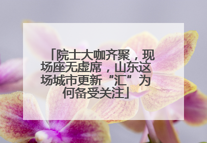 院士大咖齐聚，现场座无虚席，山东这场城市更新“汇”为何备受关注