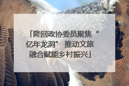 隆回政协委员聚焦“亿年龙洞” 推动文旅融合赋能乡村振兴