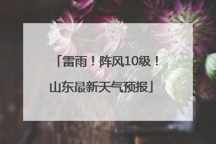 雷雨！阵风10级！山东最新天气预报