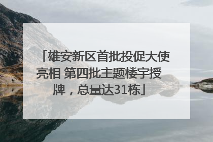 雄安新区首批投促大使亮相 第四批主题楼宇授牌，总量达31栋