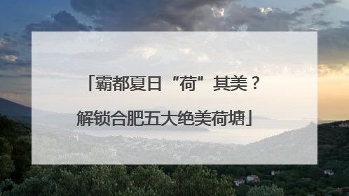 霸都夏日“荷”其美？解锁合肥五大绝美荷塘
