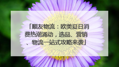 顺友物流：欧美夏日消费热潮涌动，选品、营销、物流一站式攻略来袭
