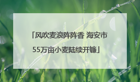 风吹麦浪阵阵香 海安市55万亩小麦陆续开镰