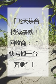 飞天茅台持续暴跌！回收商：“快亏掉一台奔驰”