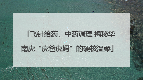 飞针给药、中药调理 揭秘华南虎“虎爸虎妈”的硬核温柔
