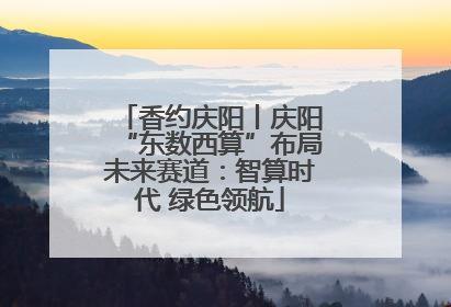 香约庆阳丨庆阳“东数西算”布局未来赛道：智算时代 绿色领航