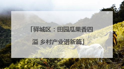 驿城区：田园瓜果香四溢 乡村产业谱新篇