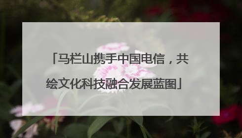 马栏山携手中国电信，共绘文化科技融合发展蓝图