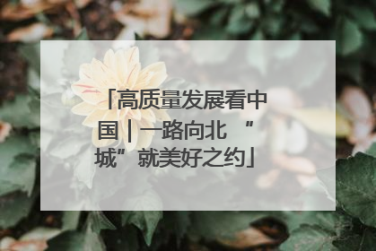 高质量发展看中国｜一路向北 “城”就美好之约