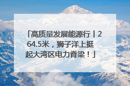 高质量发展能源行丨264.5米，狮子洋上挺起大湾区电力脊梁！
