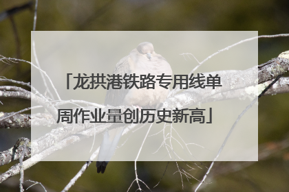龙拱港铁路专用线单周作业量创历史新高