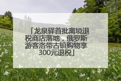 龙泉驿首批离境退税商店落地，俄罗斯游客洛带古镇购物享300元退税