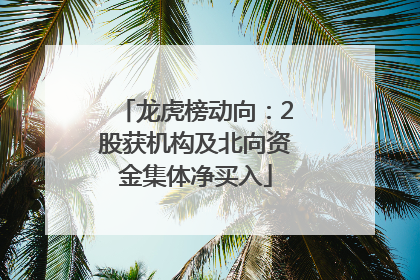 龙虎榜动向：2股获机构及北向资金集体净买入
