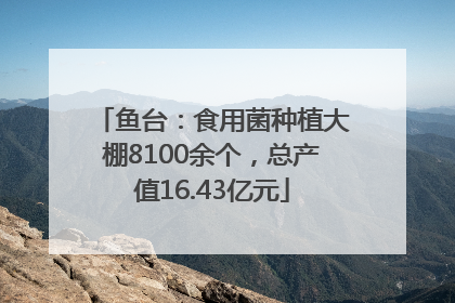鱼台：食用菌种植大棚8100余个，总产值16.43亿元