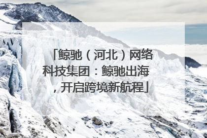 鲸驰（河北）网络科技集团：鲸驰出海，开启跨境新航程