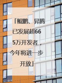 鲲鹏、昇腾已发展超665万开发者，今年将进一步开放