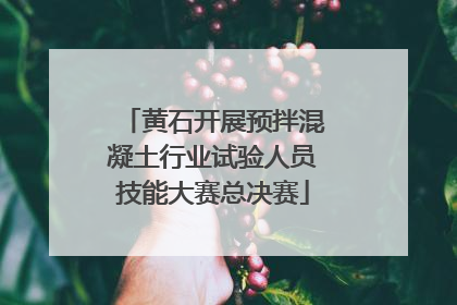 黄石开展预拌混凝土行业试验人员技能大赛总决赛