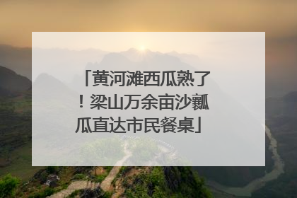 黄河滩西瓜熟了！梁山万余亩沙瓤瓜直达市民餐桌