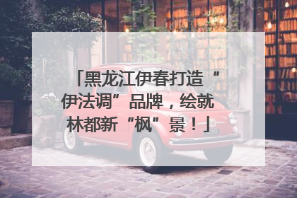 黑龙江伊春打造“伊法调”品牌，绘就林都新“枫”景！