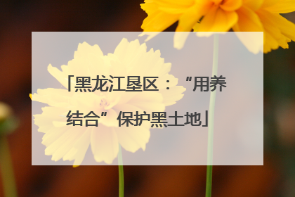 黑龙江垦区：“用养结合”保护黑土地