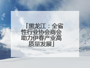 黑龙江：全省性行业协会商会助力伊春产业高质量发展