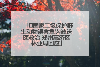 ﻿国家二级保护野生动物误食鱼钩被送医救治 郑州惠济区林业局回应