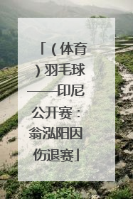 （体育）羽毛球——印尼公开赛：翁泓阳因伤退赛