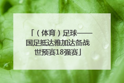 （体育）足球——国足抵达雅加达备战世预赛18强赛