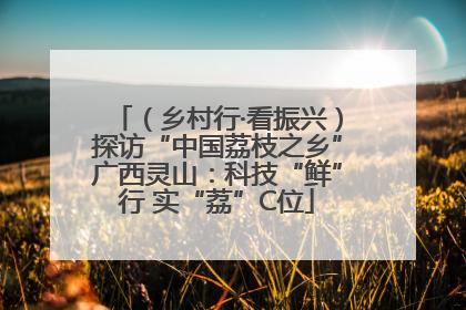 （乡村行·看振兴）探访“中国荔枝之乡”广西灵山：科技“鲜”行 实“荔”C位