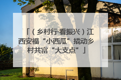 （乡村行·看振兴）江西安福“小西瓜”撬动乡村共富“大支点”