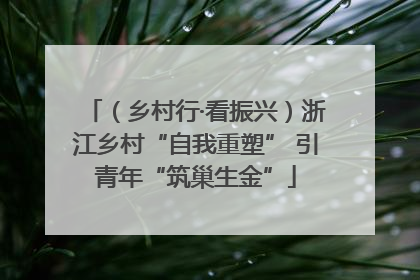 （乡村行·看振兴）浙江乡村“自我重塑” 引青年“筑巢生金”