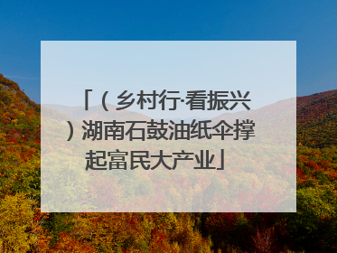 （乡村行·看振兴）湖南石鼓油纸伞撑起富民大产业