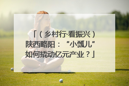 （乡村行·看振兴）陕西略阳：“小瓢儿”如何撬动亿元产业？
