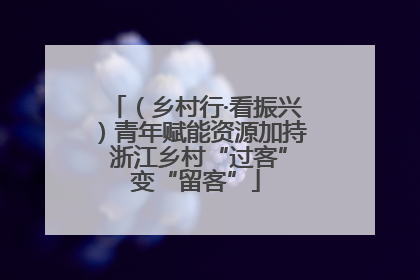 （乡村行·看振兴）青年赋能资源加持 浙江乡村“过客”变“留客”