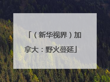 （新华视界）加拿大：野火蔓延