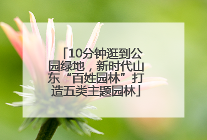 10分钟逛到公园绿地，新时代山东“百姓园林”打造五类主题园林