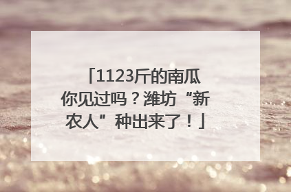 1123斤的南瓜你见过吗？潍坊“新农人”种出来了！